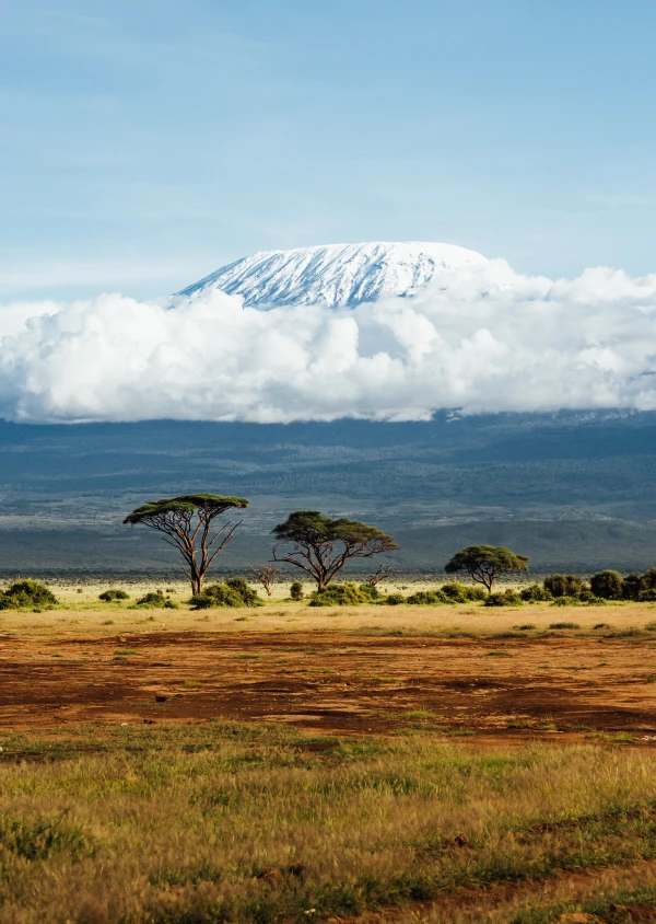 Acacia plains below a snow-capped peak
