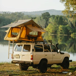 Car Hire
