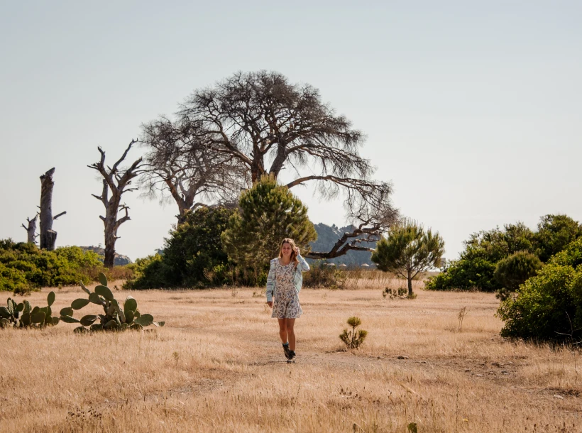 Traveller walking through dry savannah